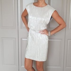 Cocktail / holiday dress